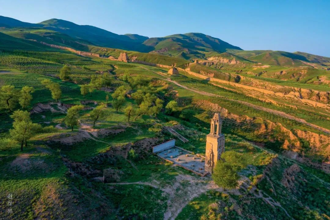 1678156916932373.jpg 12.jpg