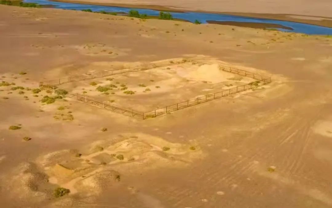 1678416026386257.jpg 1.jpg